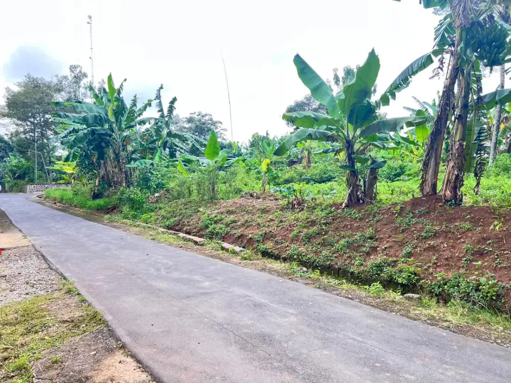 Dijual Tanah Datar 1300m² Kerjo Karanganyar Utara