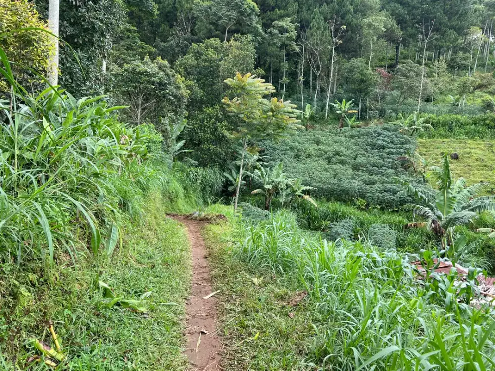 Dijual Tanah Investasi 2243m2 Dekat Candi Cetho Karanganyar