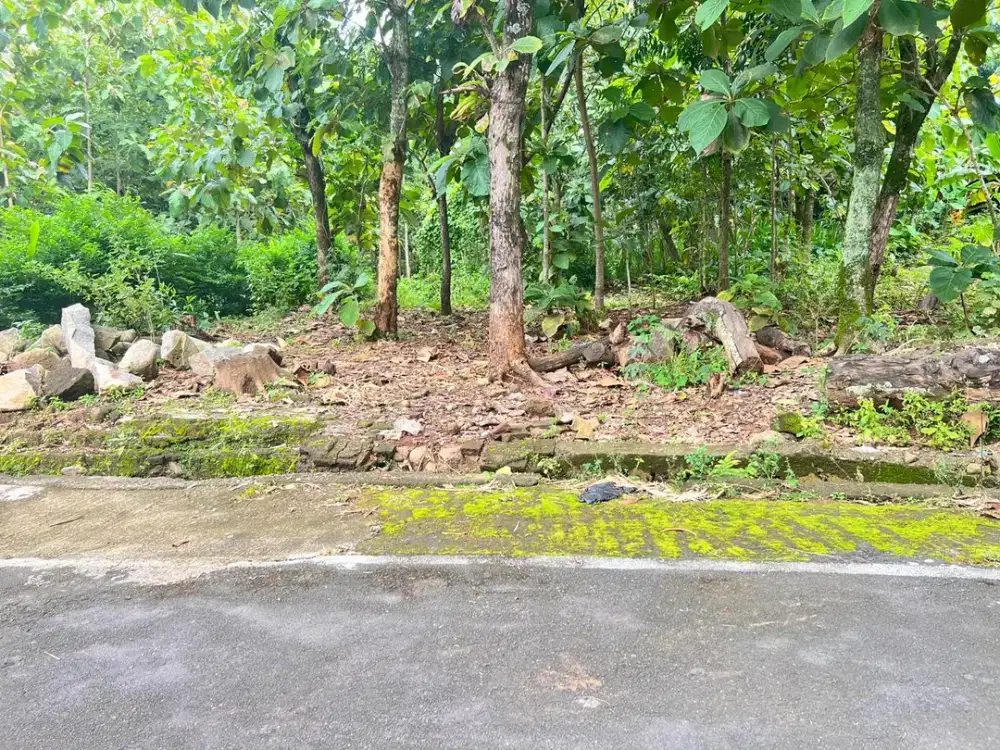 Tanah Datar 200Jt Cocok Untuk Hunian Karanganyar