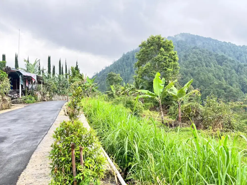 Tanah 2210m² Strategis Bangun Villa Wisata Ngargoyoso