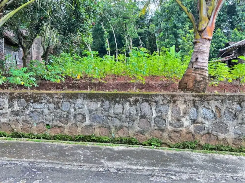 Tanah Datar 600m²  Cocok Dibangun Rumah Tinggal