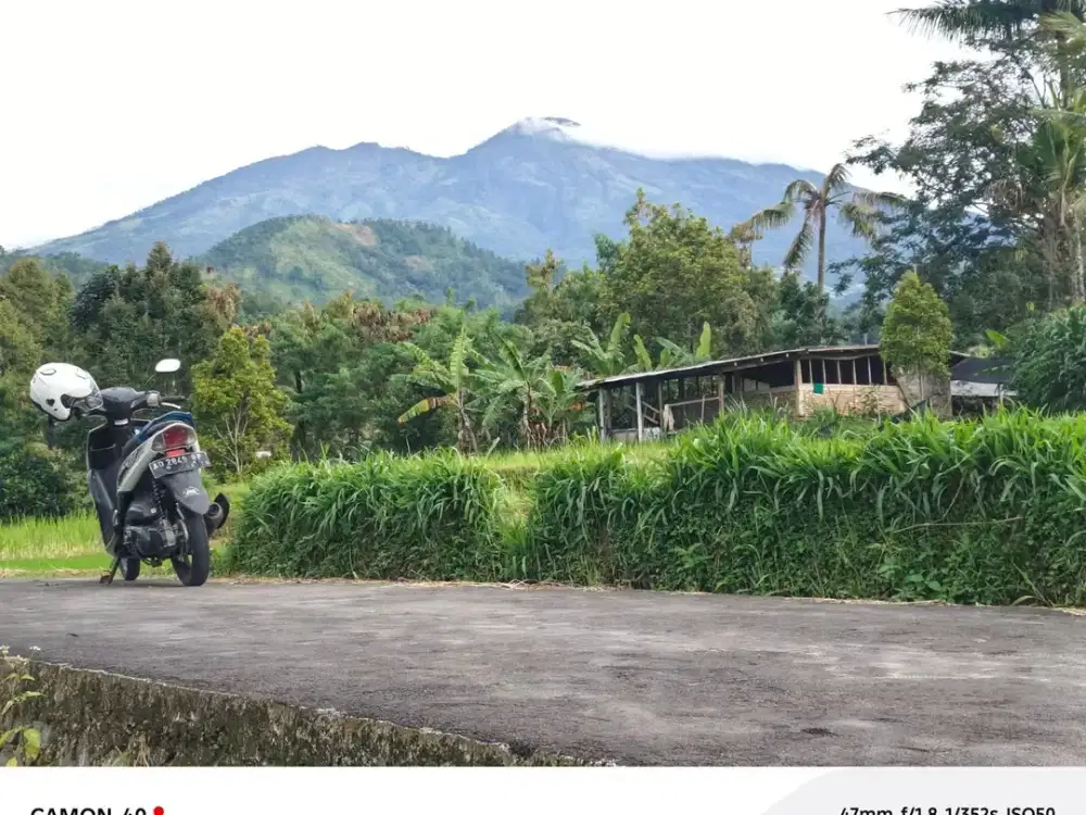 Tanah Untuk Glamping 750m2 Utara Candi Cetho Karanganyar