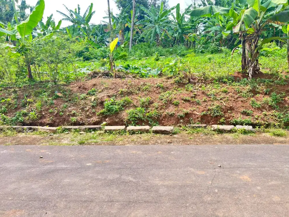 Tanah Strategis Dekat Jalan Raya 1300m2 Karanganyar Utara