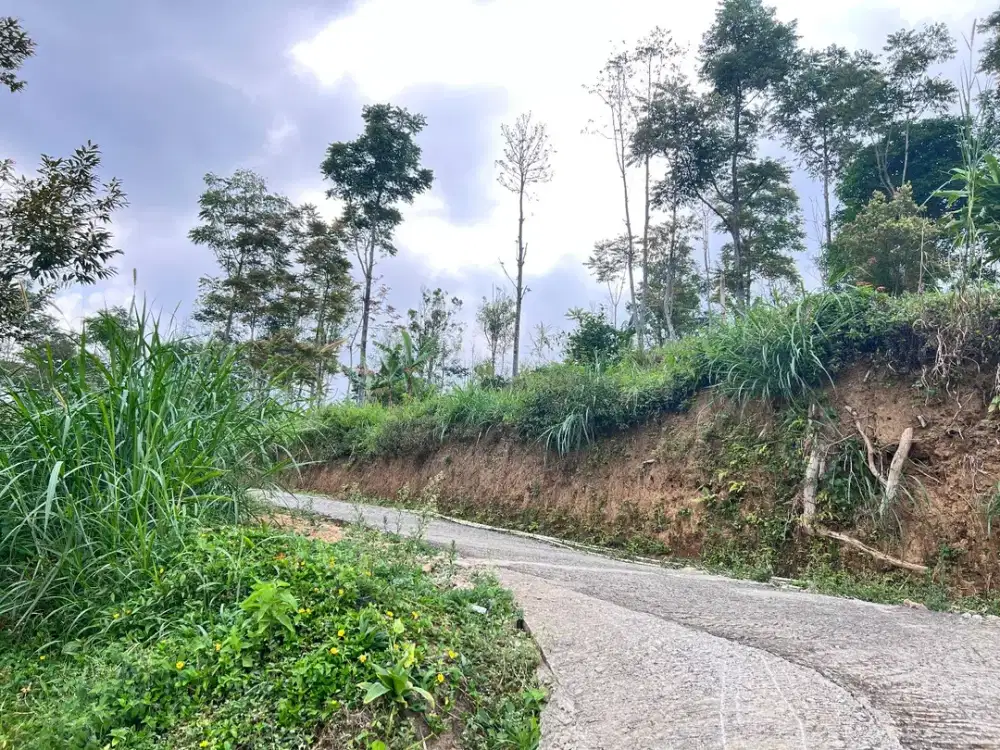 Tanah Datar View Gunung Lawu Dekat Jembatan Kaca Kemuning Karanganyar