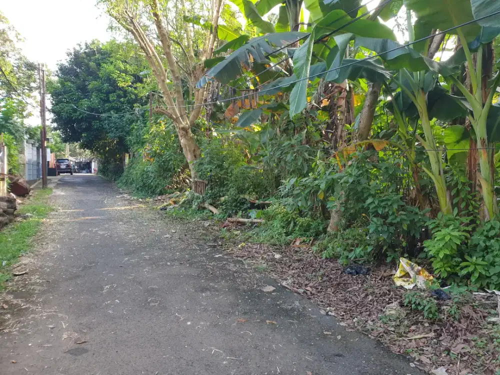 Tanah Beji dekat kampus UI