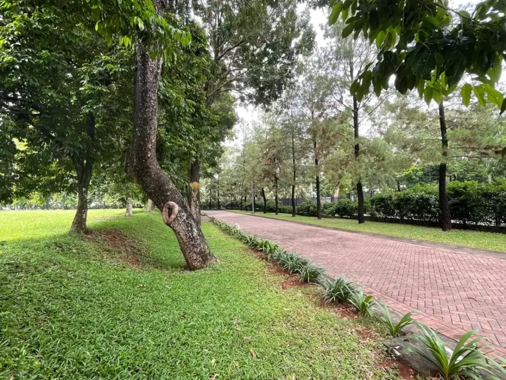 Kavling Luas Lokasi Premium di Bintaro Jaya - 0925