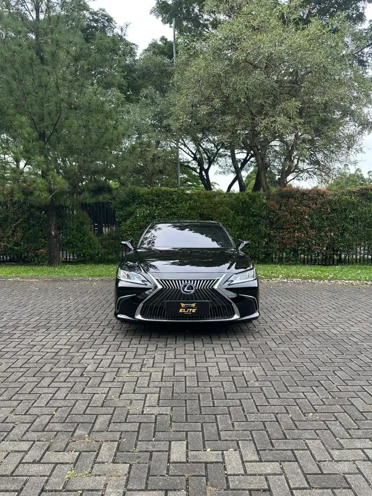 Lexus ES300h Ultra Luxury Sedan 2021