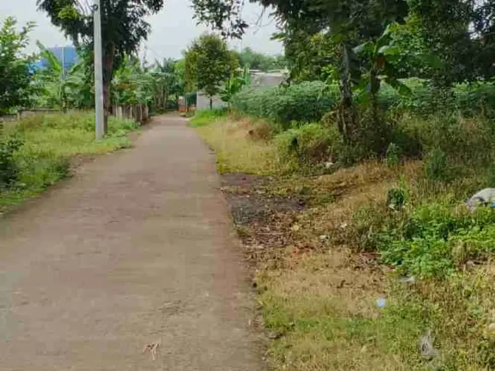 Diual tanah di Curug, Gunung Sindur, Kab Bogor