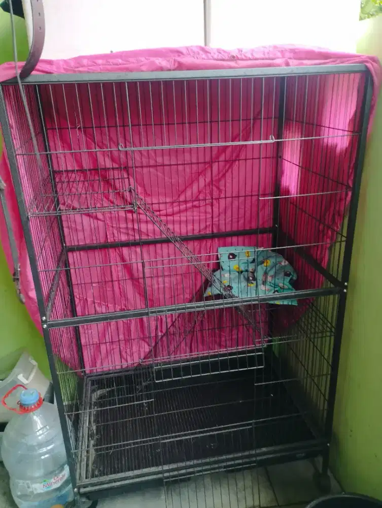 Kandang Kucing 3 tingkat