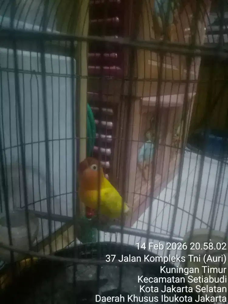 JUAL SANTAI NUNGGU BEDUG