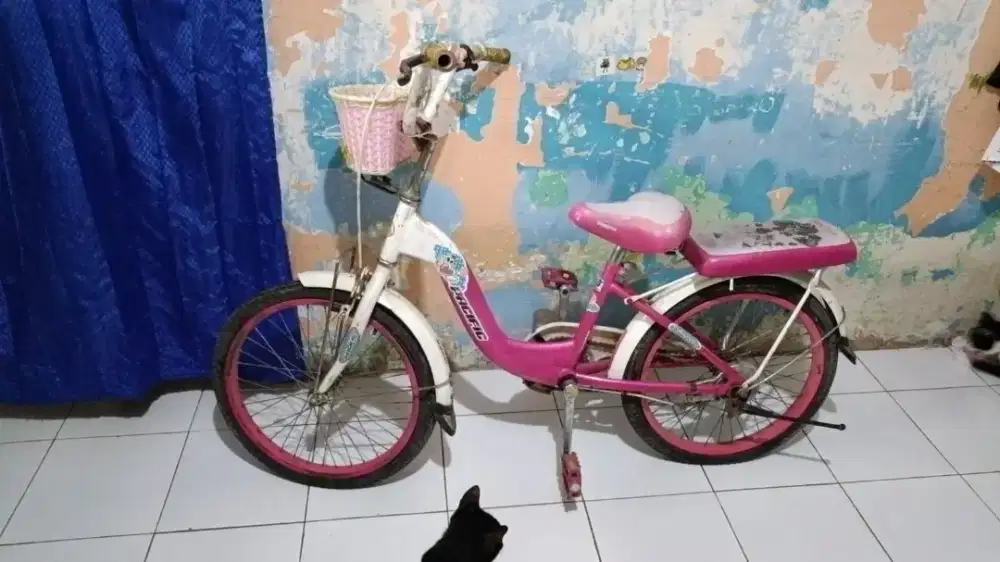 Sepeda anak cewek kondisi seadanya