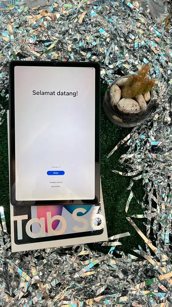 Samsung gal tab s6 lite plus pen