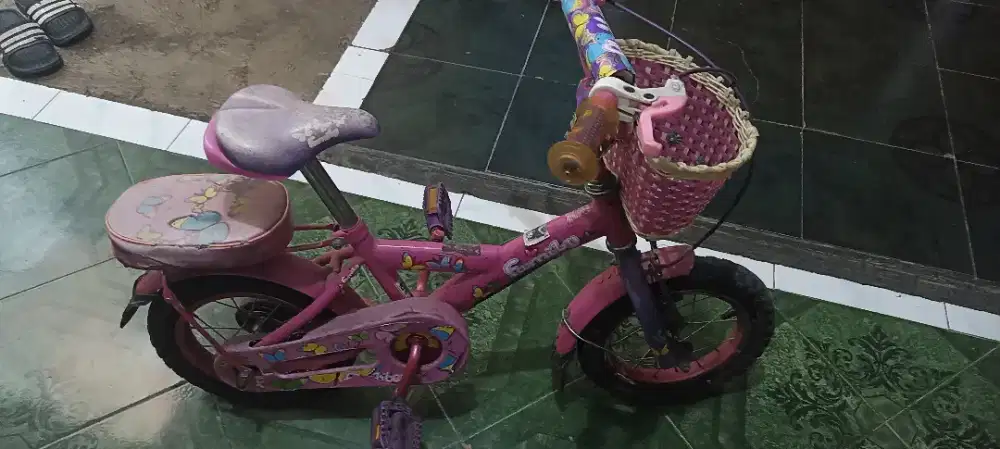 Sepeda Family Flubber