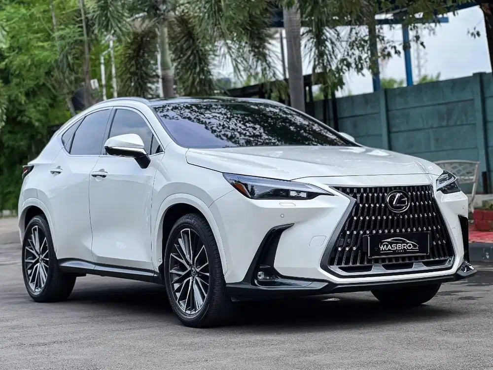 Lexus NX350h Luxury 2024