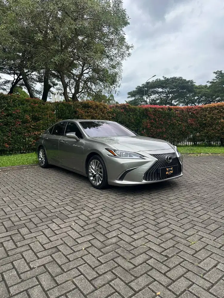 Lexus ES 250 Ultra Luxury Sedan 2020