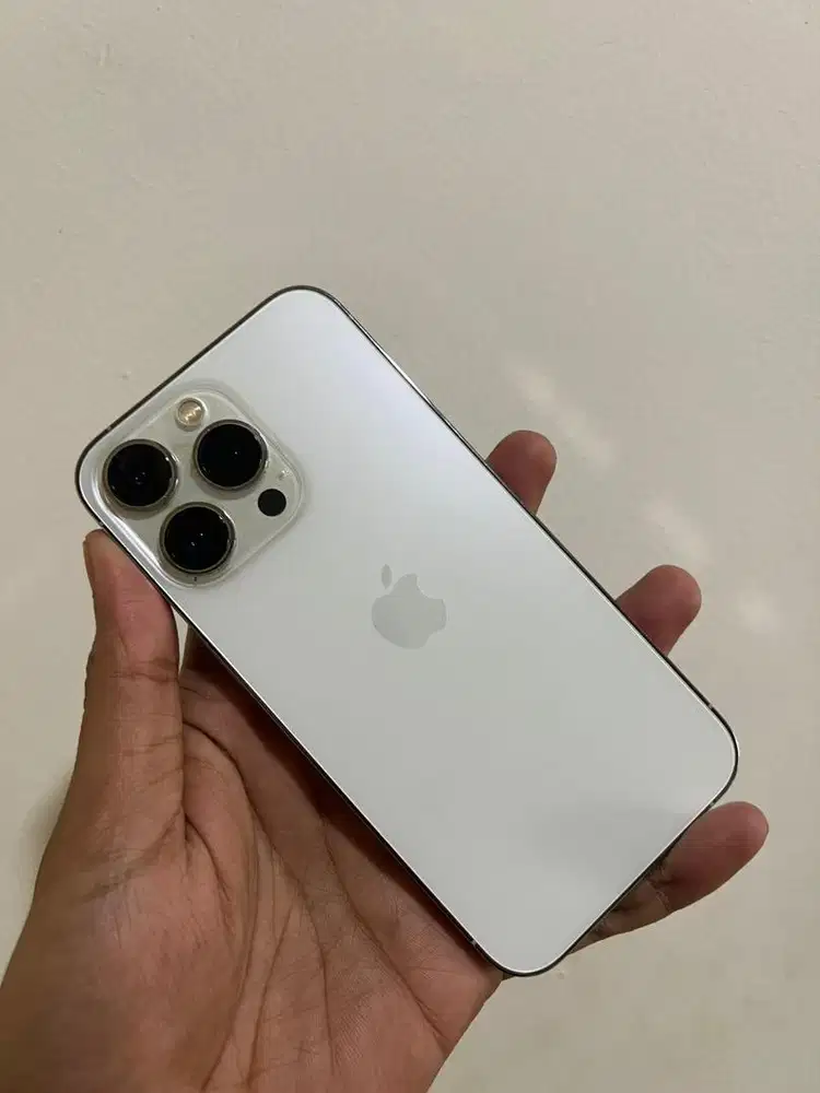 13 pro 256gb ex inter