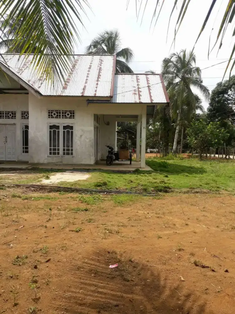 Dijual rmh besar + tnh muarobungo jambi
