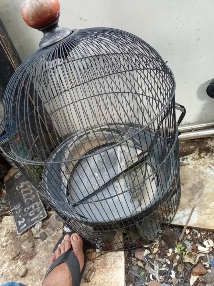 Kandang besi bagus buat apa aja