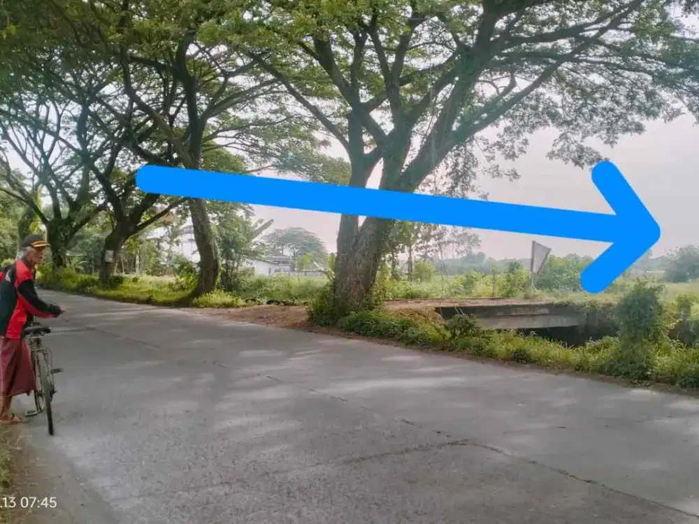 TANAH 1479m2 SHM WARU ONGGORAWE BULUSARI MRANGGEN DEMAK