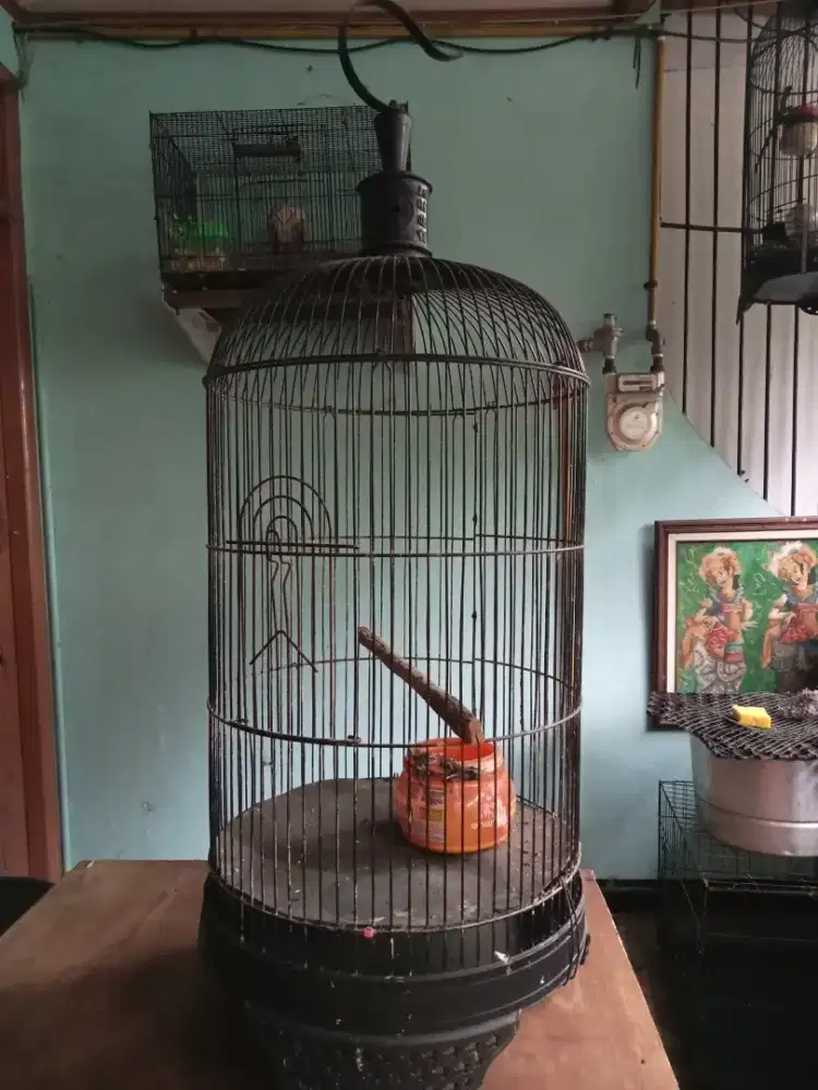 Sangkar burung, jarang terpakai