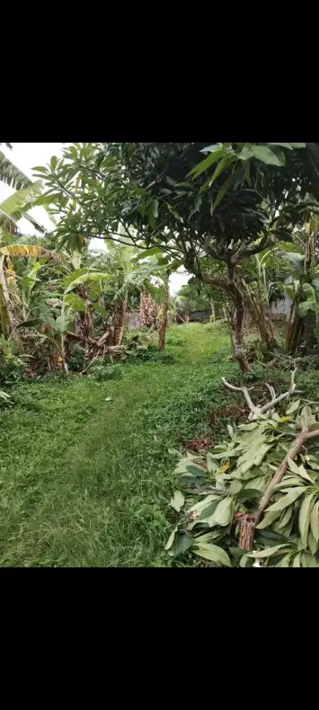 Dijual tanah murah di jln nusa indah dkt art centre denpasar bali