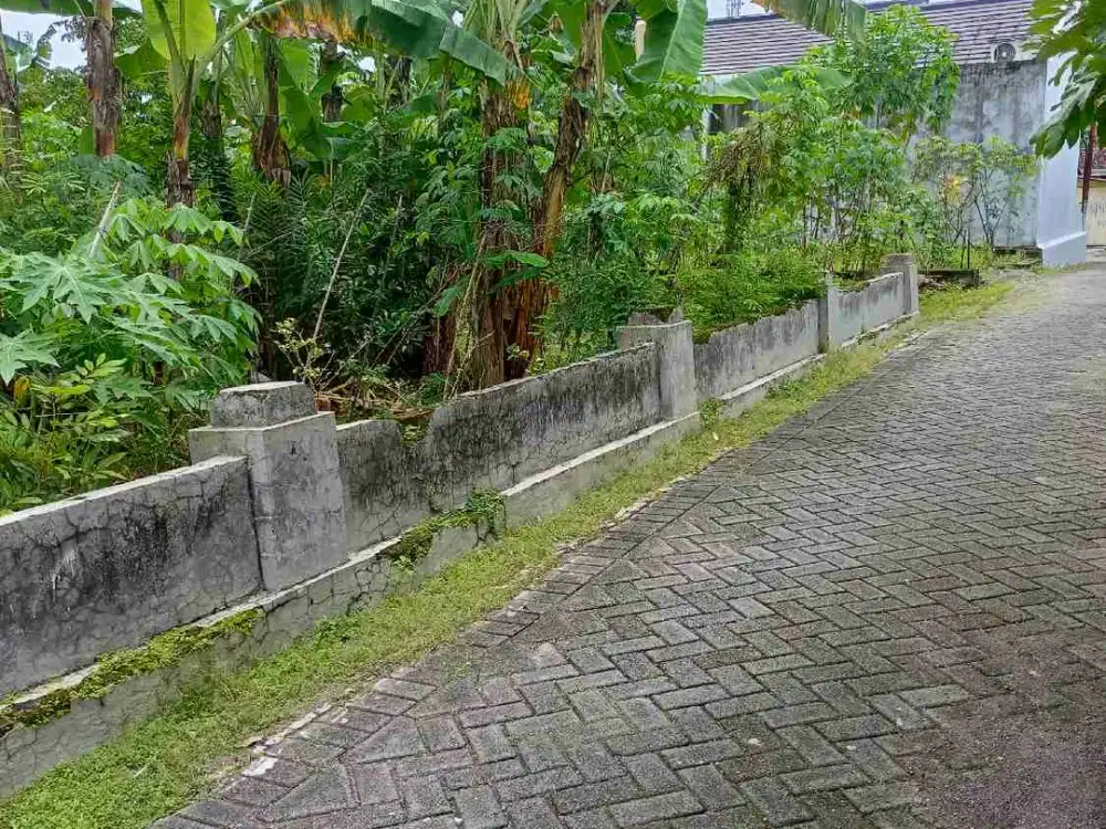Tanah Ngawi Kota