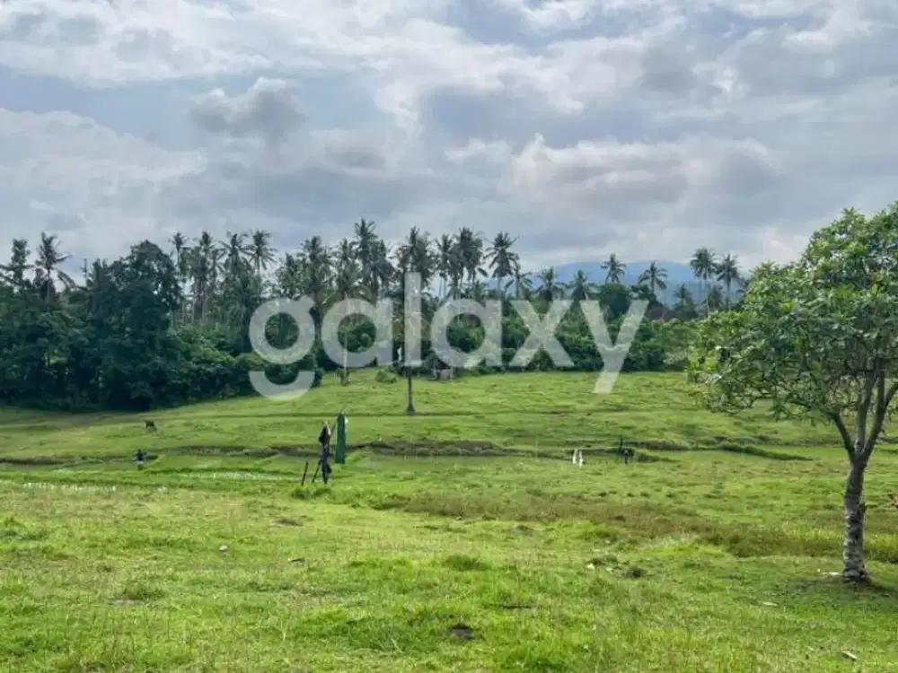 TANAH SIAP BANGUN DI BATU MEJAN LANGLANG LINGGAH BAJRA TABANAN, BALI