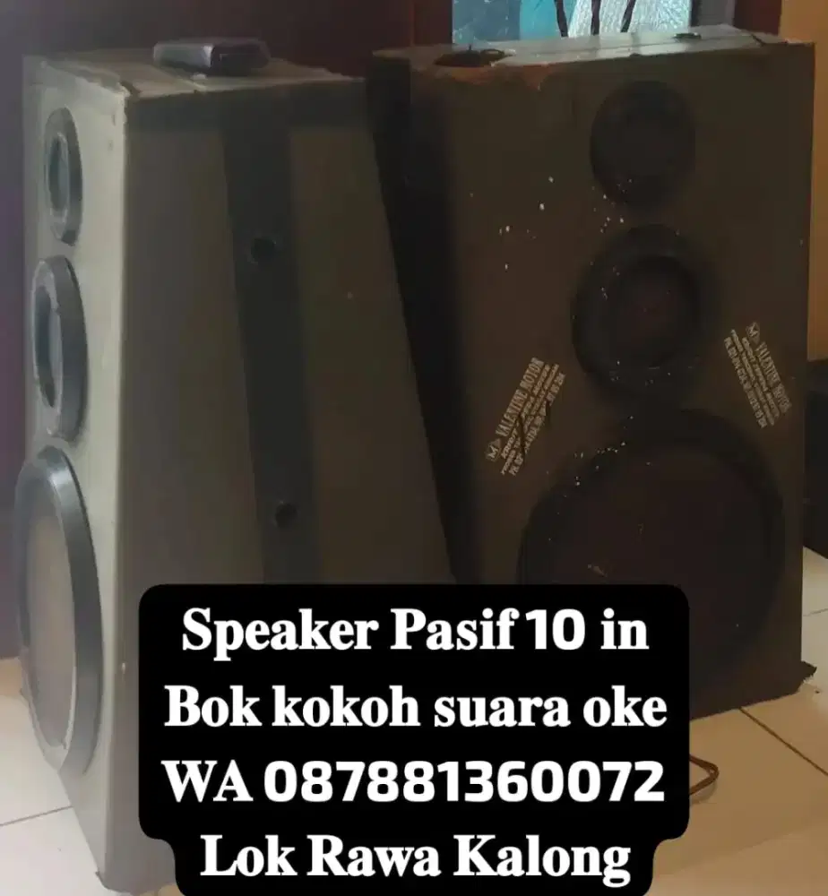 SPEAKER PASIF 10 IN PABRIKAN PUNYA