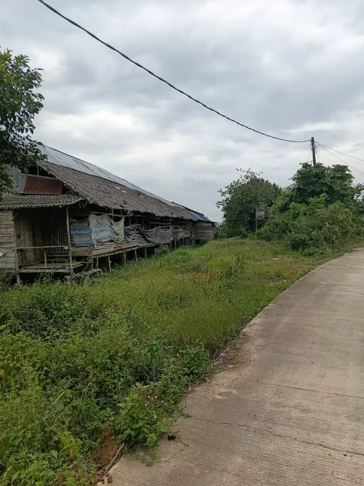 Dijual Tanah Dekat Balikpapan Telah menjadi Ring 1 IKN (BISA NEGO)