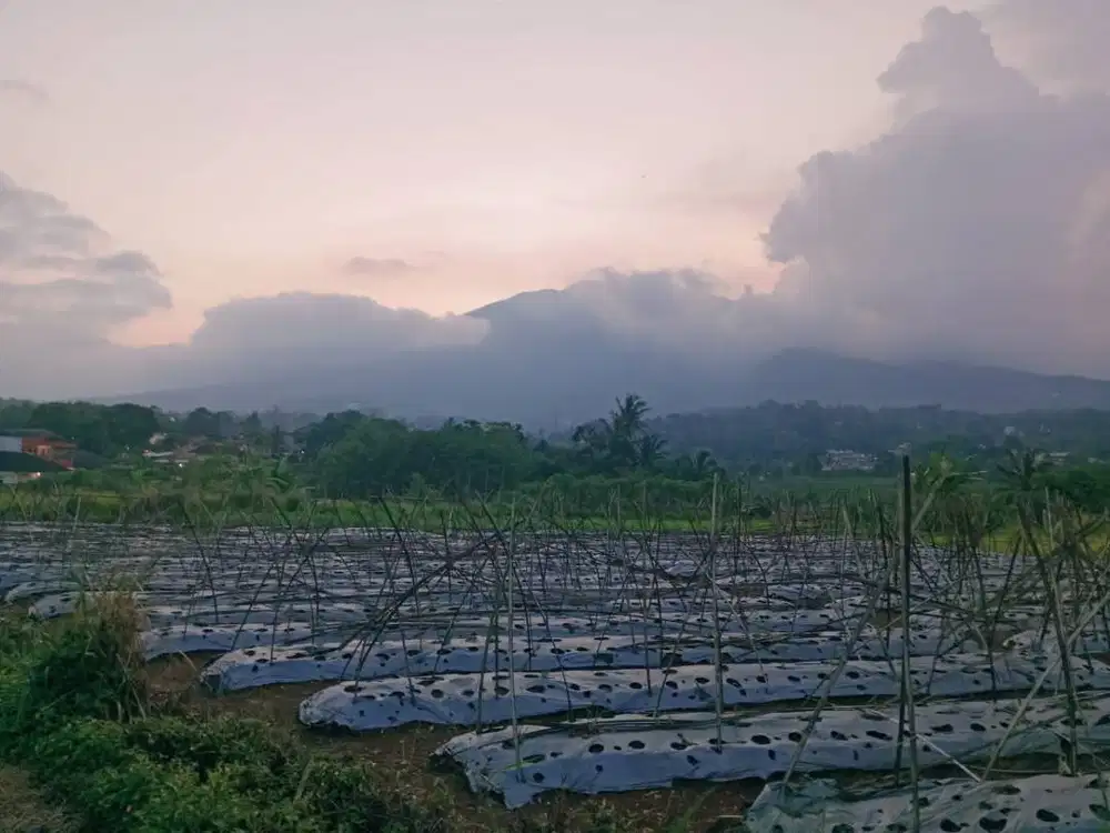 sedang mencari pekerjaan