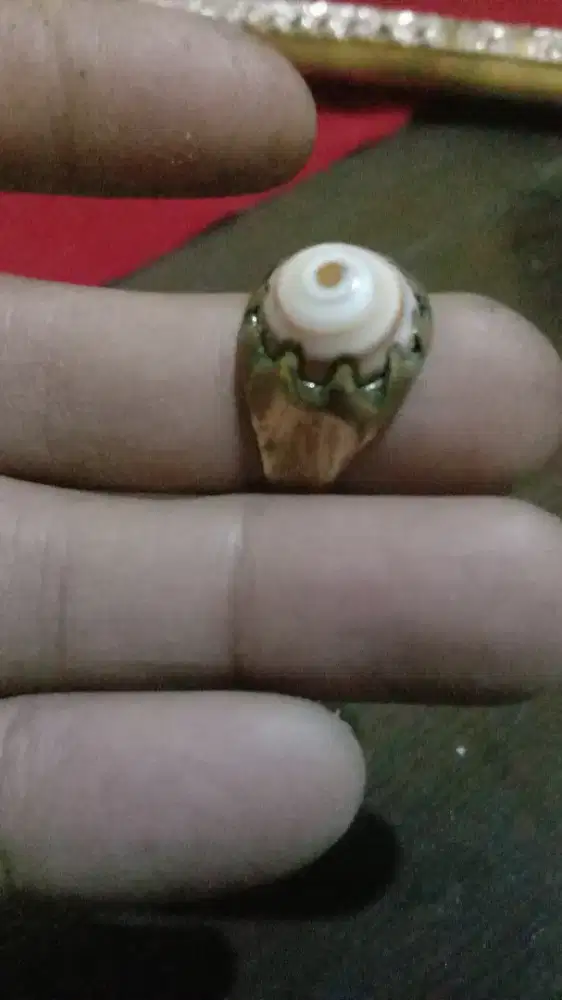Cincin Batu Akik Fosil Kolbuntet