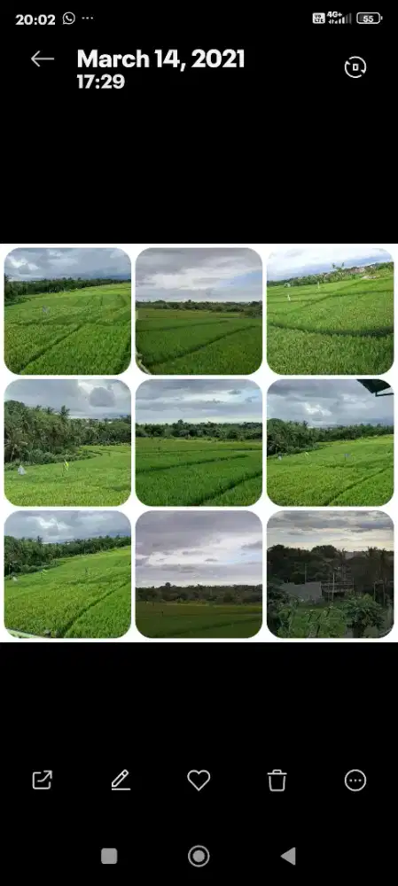 Butuh ART WANITA bukan PRIA menjadi peneman Lansia wanita sehat bugar