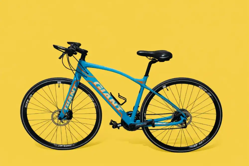 SEPEDA GIANT FASTROAD SLR 2