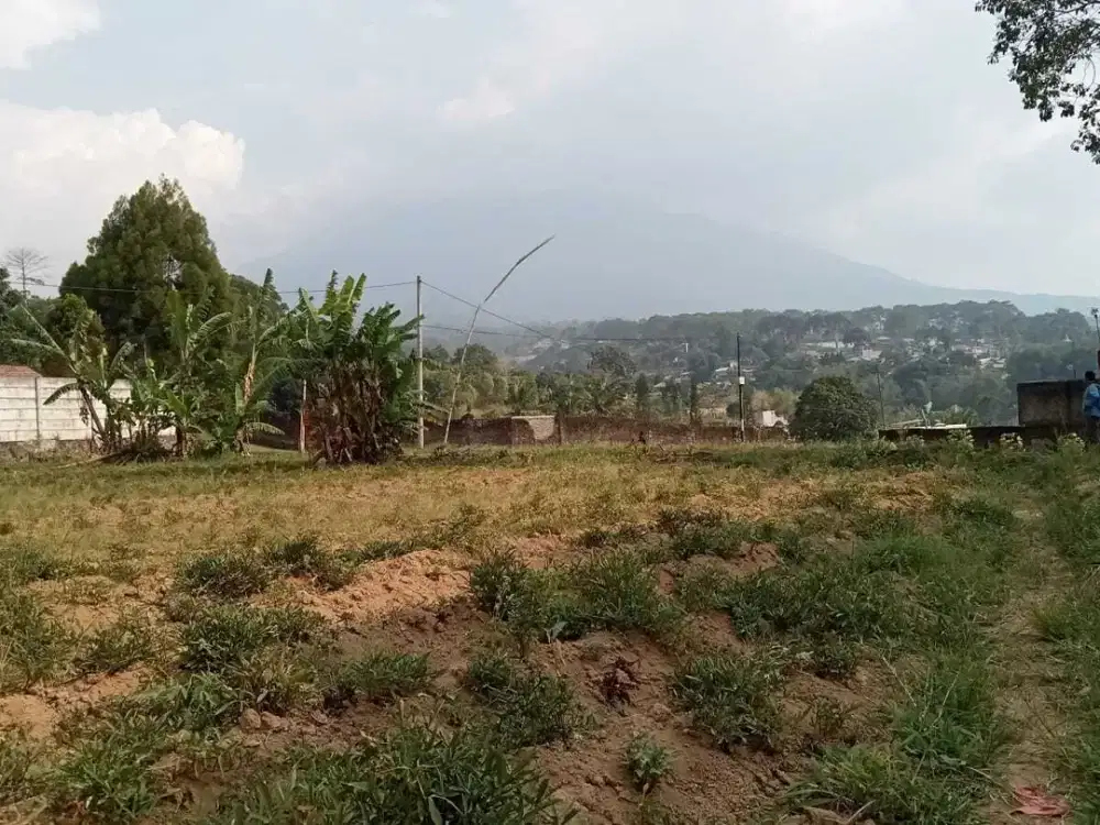 Dijual tanah di Citeko, Kecamatan Cisarua, Puncak Bogor.