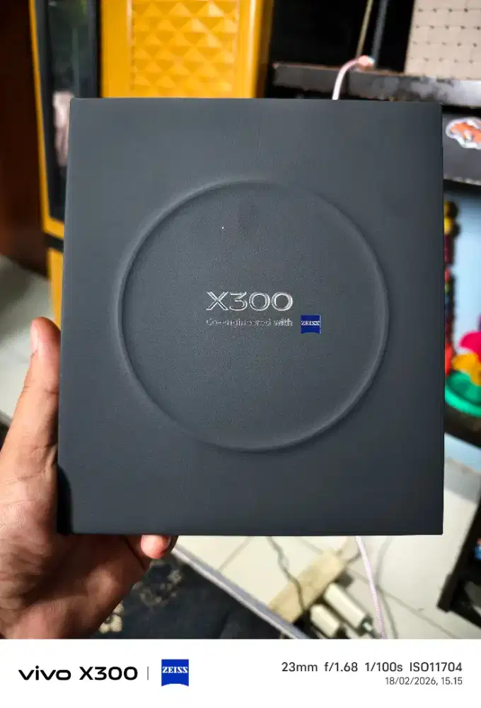Vivo x300 ram 12/256