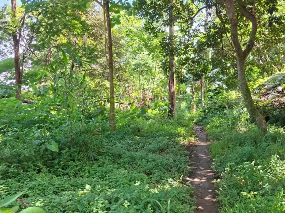 jual tanah dekat summarecon bogor