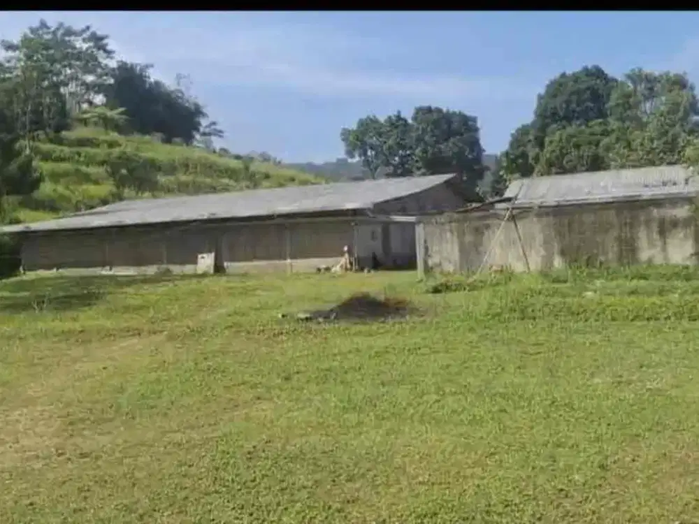 for sale tanah darah pancawati kec caringin