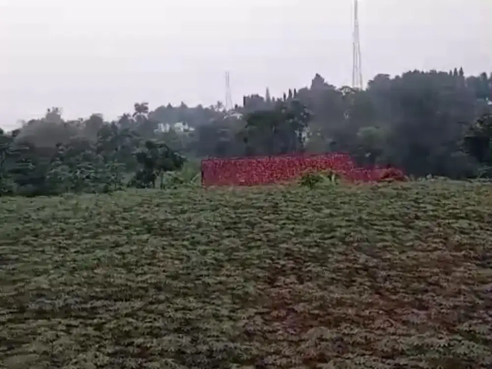 Tanah Darat di Gunung Geulis, Sumarecon Bogor