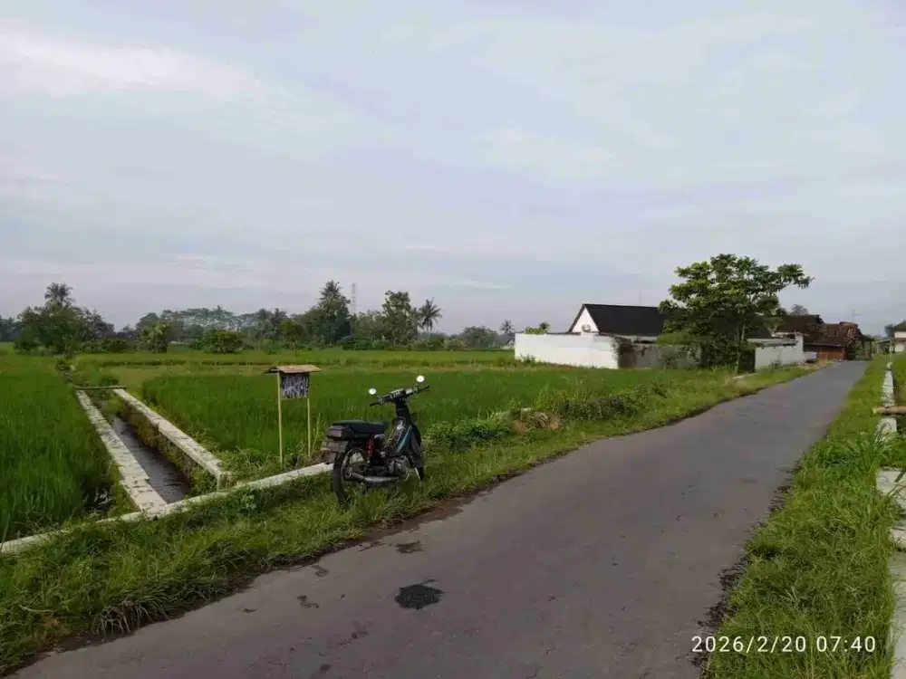 Dijual Tanah Sawah View Merapi Di Sleman Yogyakarta