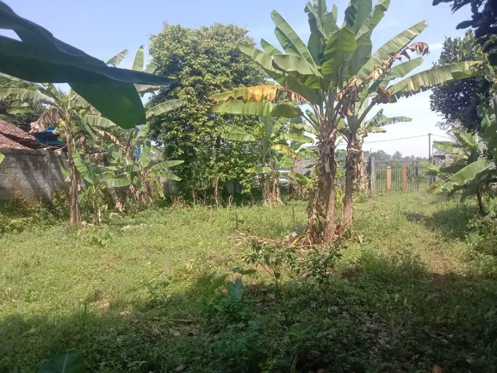 Tanah di Desa Pancawati, Caringin, Bogor