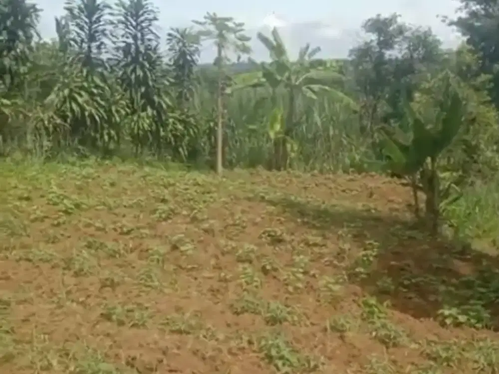 Tanah Darat di Desa Cimande, Caringin, Bogor