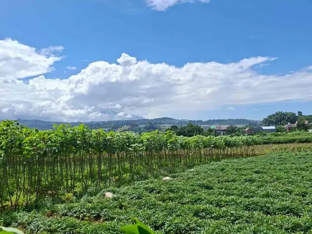 tanah darat desa nagrak sukaraja