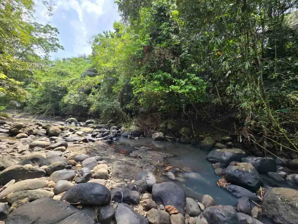 Dijual Tanah Murah View Sungai Berbatu Dan Junggle Tabanan Bali