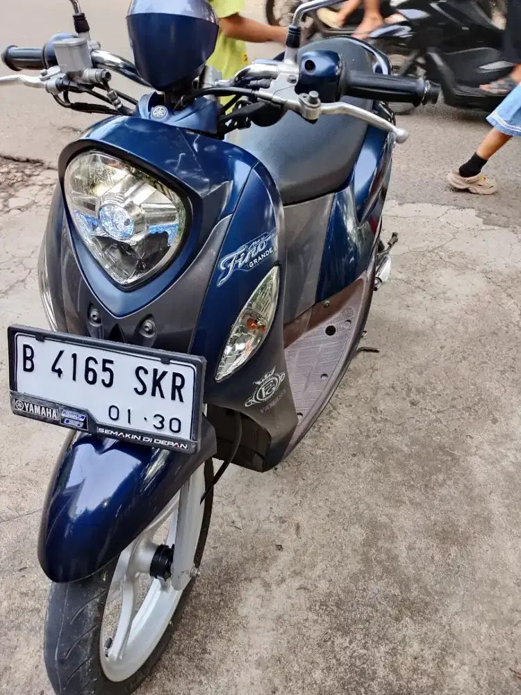 FINO GRANDE 2019/ 2020