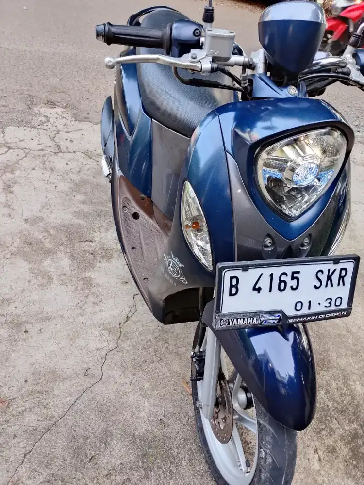 FINO GRANDE 2019/ 2020