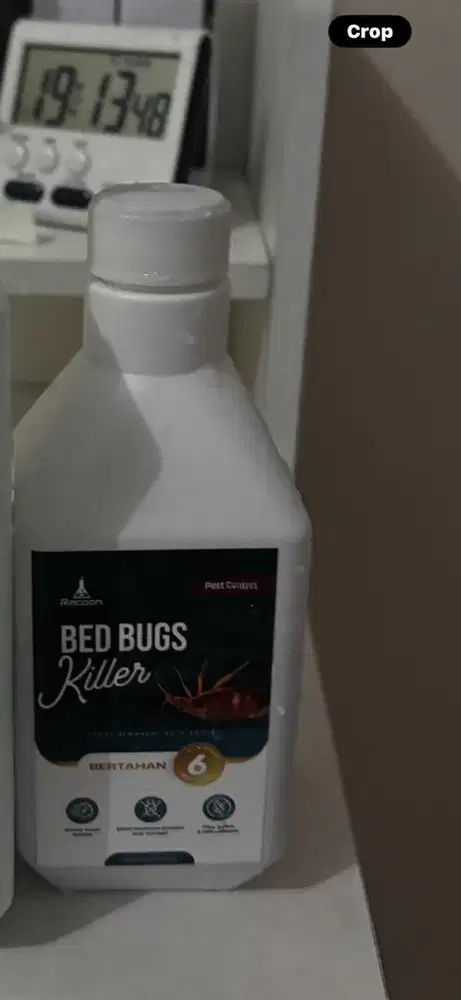 Bed bugs killer anti kutu  busuk kasur serangga tungau racoon 300ml