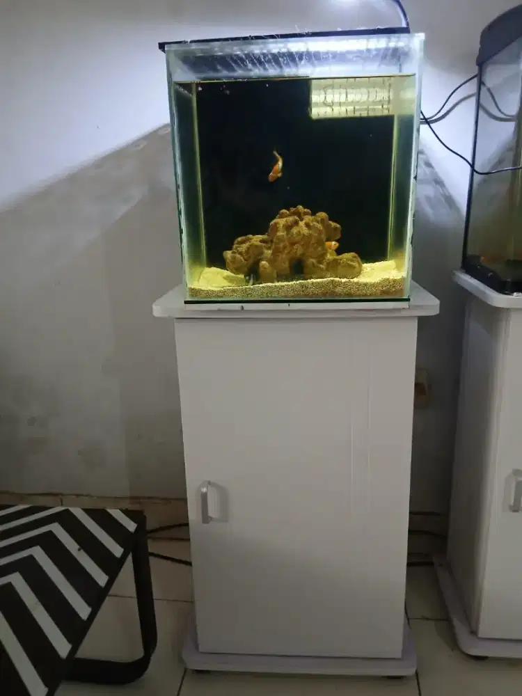 Ikan air laut fullset kabinetnya tinggal colok