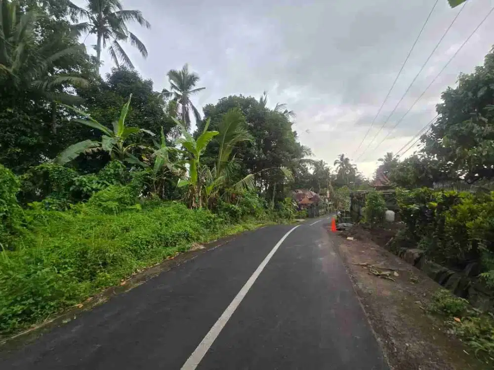 D i jual Tanah Kebun  View Junggle Dekat Villa Puri Dajuma Tabanan Bali