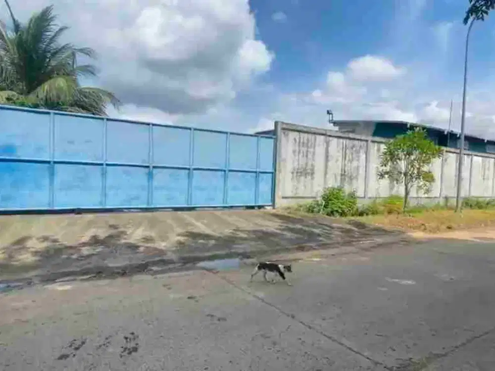 Gudang Luas tanah 1 ha di jual murah di pergudangan kawasan industri millenium tigaraksa