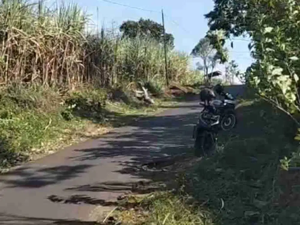 Tanah luas harga murah di malang